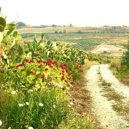 Casa Pippina Sciacca