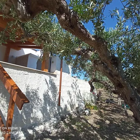 Casa Pippina *
